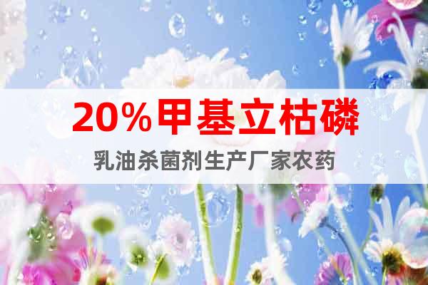 20%甲基立枯磷乳油專用殺菌劑生產(chǎn)廠家農(nóng)藥