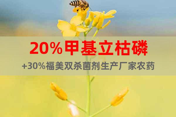 20%甲基立枯磷+30%福美雙殺菌劑生產(chǎn)廠家農(nóng)藥