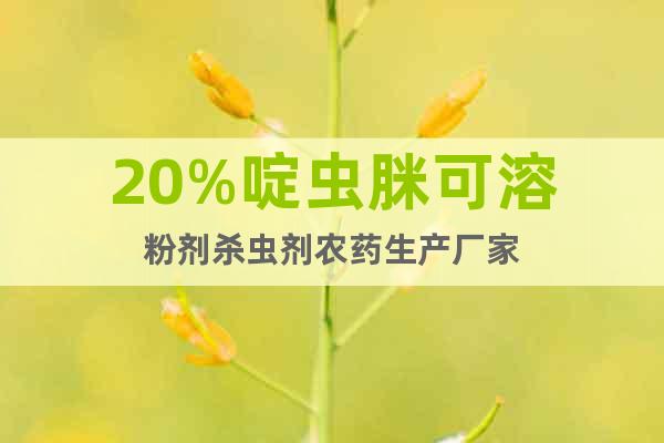 20%啶蟲脒可溶粉劑殺蟲劑農(nóng)藥生產(chǎn)廠家