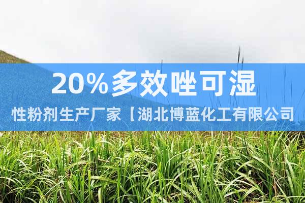 20%多效唑可湿性粉剂生产厂家【湖北博蓝化工有限公司】