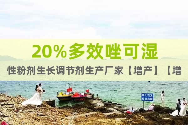 20%多效唑可濕性粉劑生長(zhǎng)調(diào)節(jié)劑生產(chǎn)廠家【增產(chǎn)】【增收】
