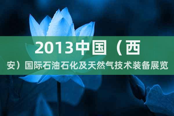 2013中国（西安）国际石油石化及天然气技术装备展览会
