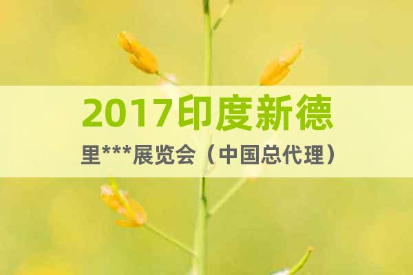 2017印度新德里***展覽會(huì)（中國總代理）