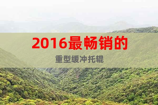 2016最暢銷的重型緩沖托輥