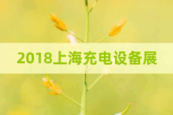 2018上海充電設(shè)備展
