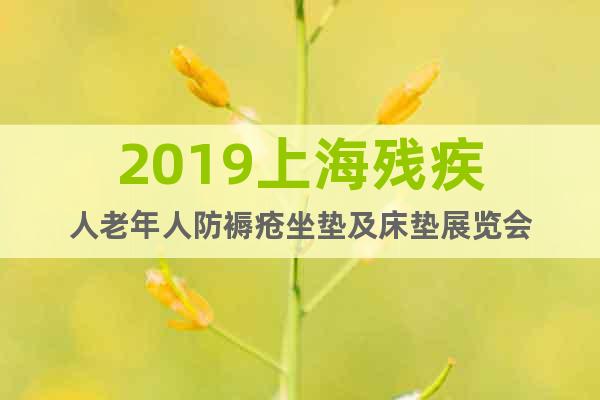 2019上海残疾人老年人防褥疮坐垫及床垫展览会