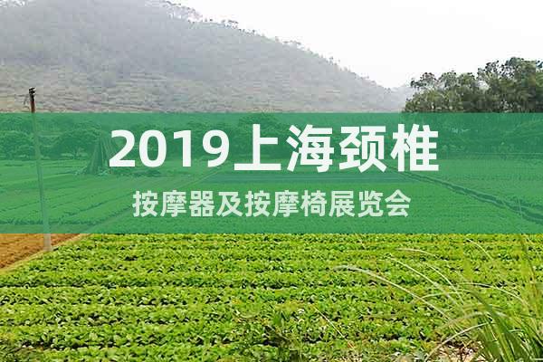 2019上海頸椎按摩器及按摩椅展覽會(huì)