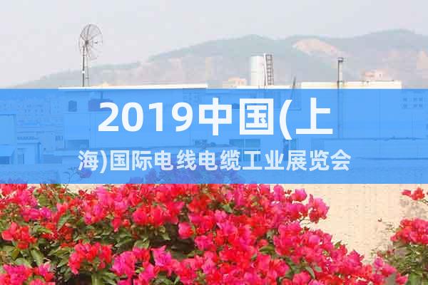 2019中国(上海)国际电线电缆工业展览会