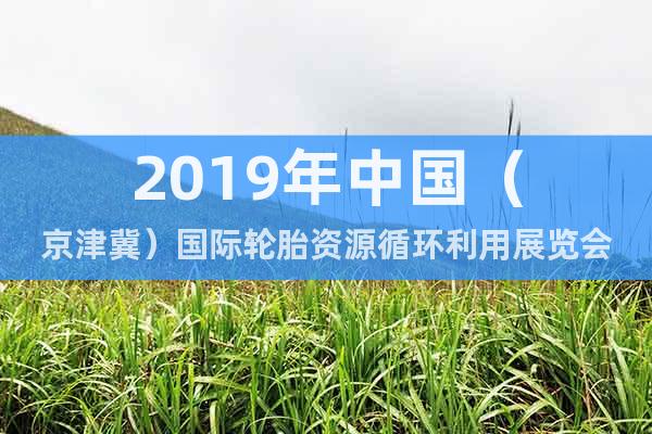 2019年中国（京津冀）国际轮胎资源循环利用展览会