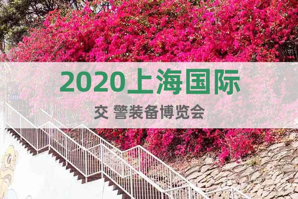 2020上海国际交 警装备博览会
