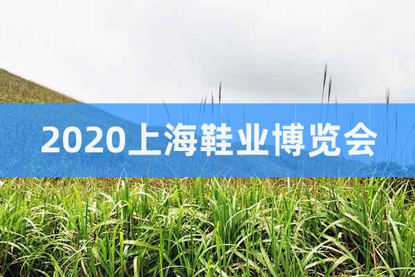 2020上海鞋業(yè)博覽會(huì)