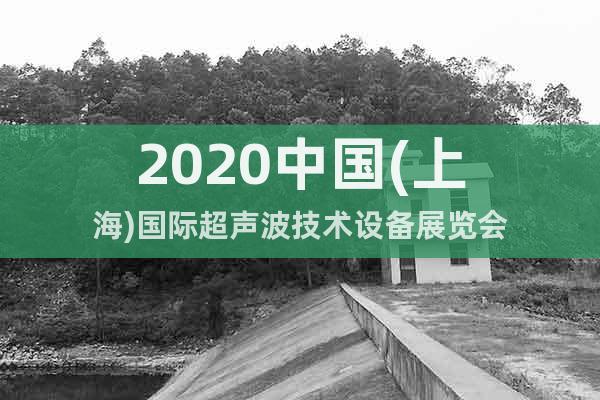 2020中国(上海)国际超声波技术设备展览会