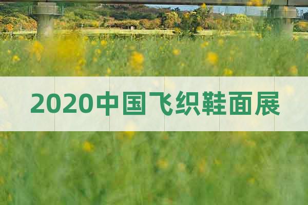 2020中國(guó)飛織鞋面展