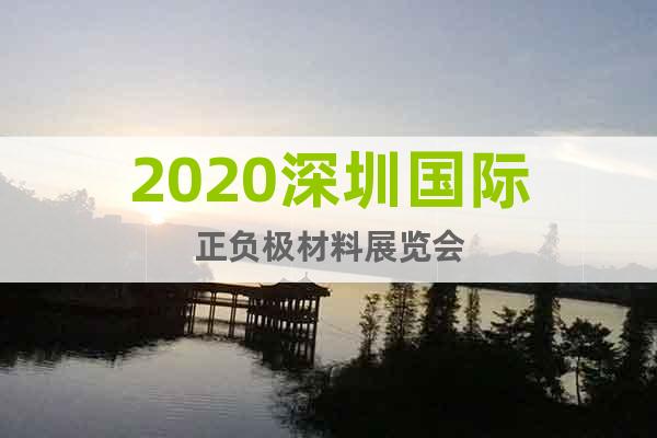 2020深圳国际正负极材料展览会