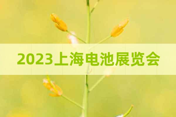 2023上海電池展覽會(huì)