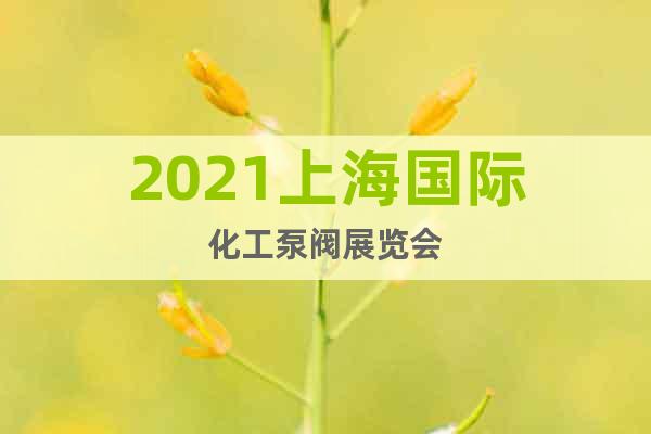 2021上海国际化工泵阀展览会