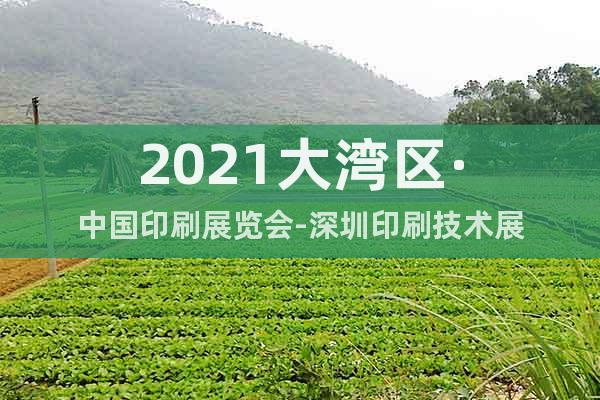 2021大灣區(qū)·中國(guó)印刷展覽會(huì)-深圳印刷技術(shù)展