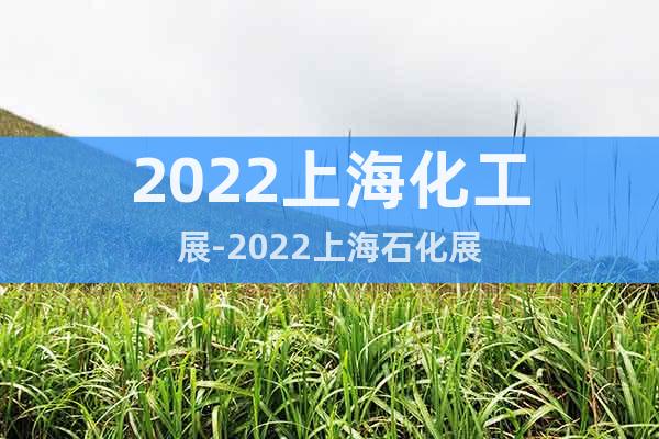 2022上海化工展-2022上海石化展