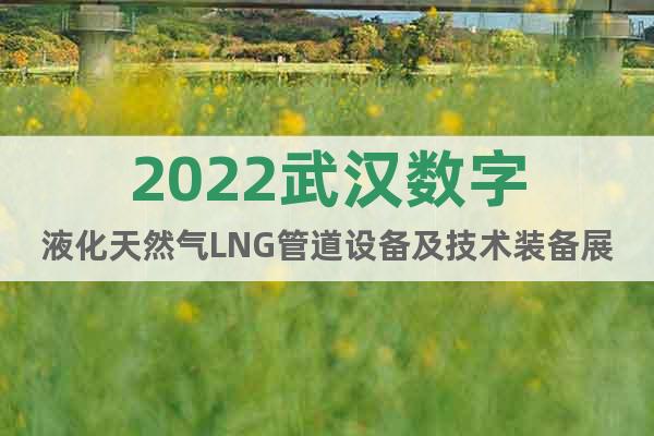 2022武汉数字液化天然气LNG管道设备及技术装备展会