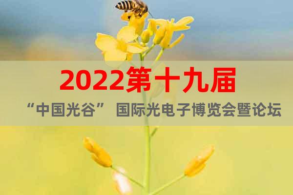 2022第十九届“中国光谷” 国际光电子博览会暨论坛