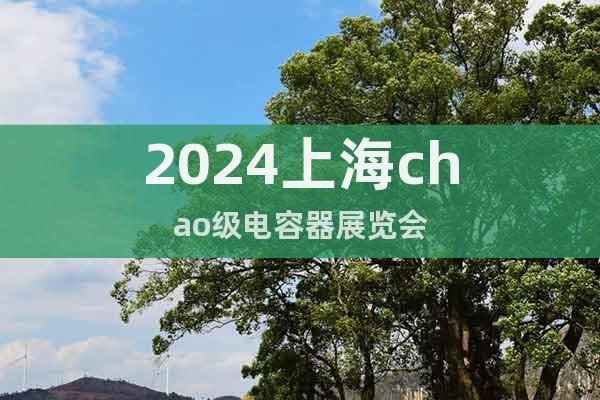 2024上海chao级电容器展览会