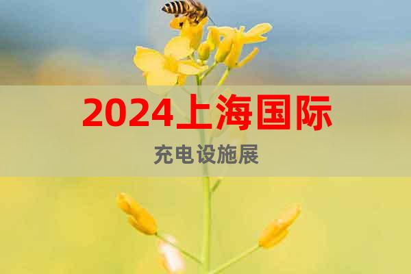 2024上海國(guó)際充電設(shè)施展
