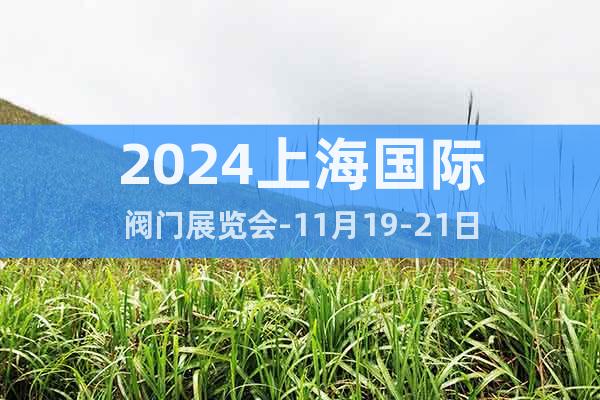 2024上海国际阀门展览会-11月19-21日