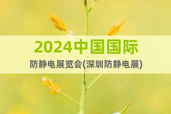 2024中國(guó)國(guó)際防靜電展覽會(huì)(深圳防靜電展)