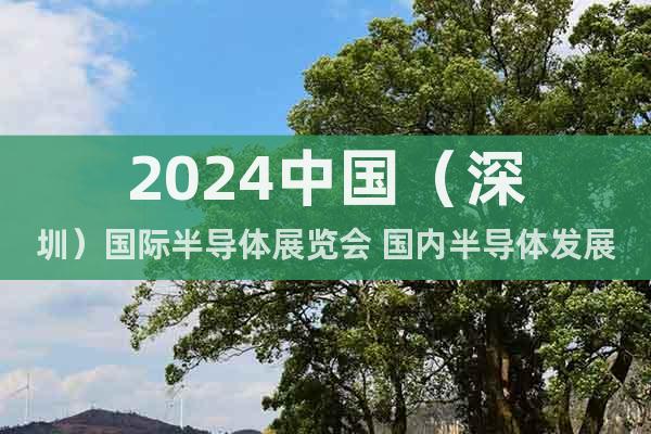 2024中国（深圳）国际半导体展览会 国内半导体发展