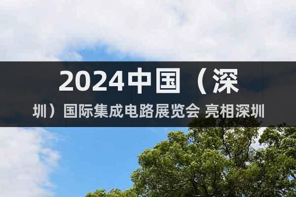 2024中国（深圳）国际集成电路展览会 亮相深圳