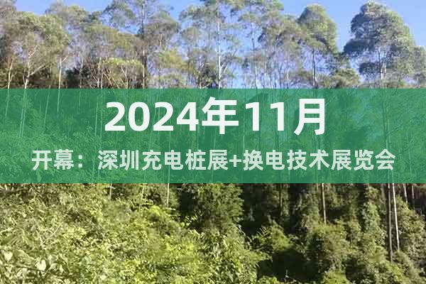 2024年11月開幕：深圳充電樁展+換電技術(shù)展覽會