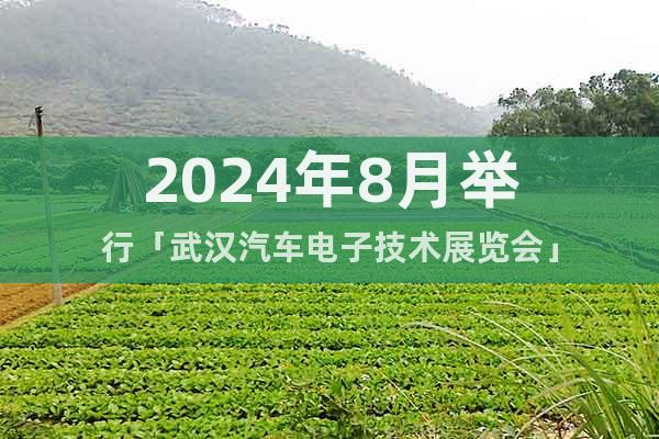 2024年8月舉行「武漢汽車電子技術(shù)展覽會」