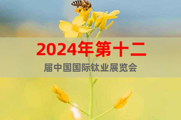2024年第十二届中国国际钛业展览会