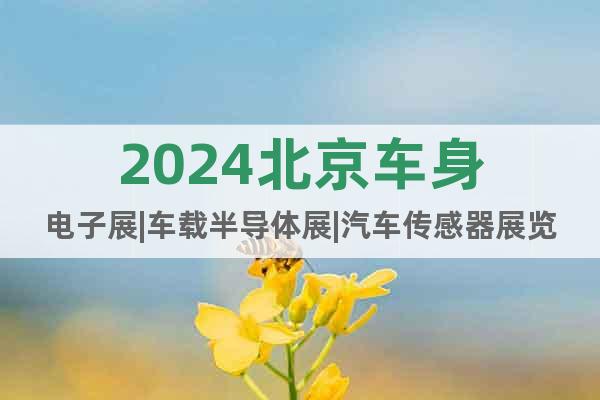 2024北京车身电子展|车载半导体展|汽车传感器展览会