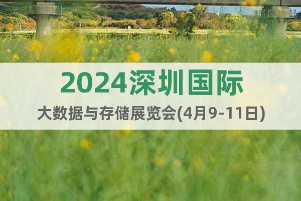 2024深圳国际大数据与存储展览会(4月9-11日)