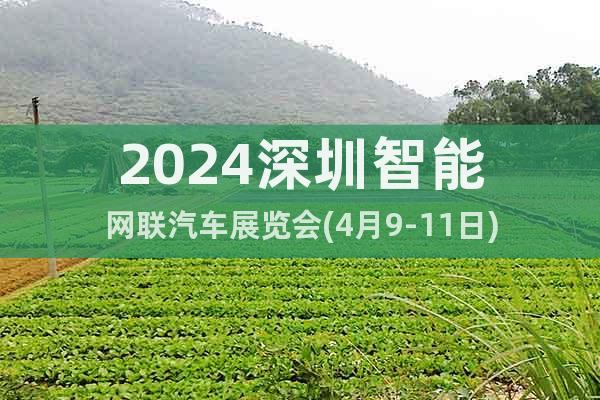 2024深圳智能网联汽车展览会(4月9-11日)