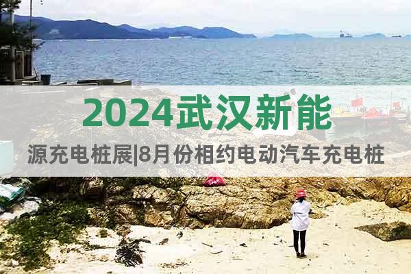 2024武漢新能源充電樁展|8月份相約電動汽車充電樁展