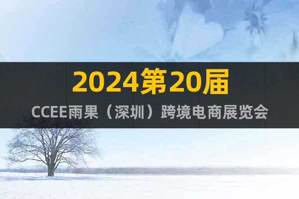 2024第20届CCEE雨果（深圳）跨境电商展览会