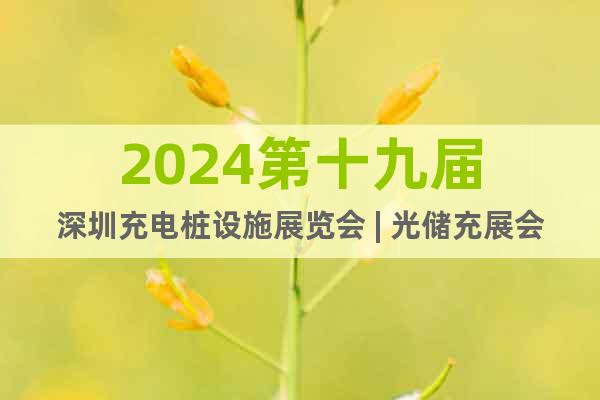 2024第十九届深圳充电桩设施展览会 | 光储充展会