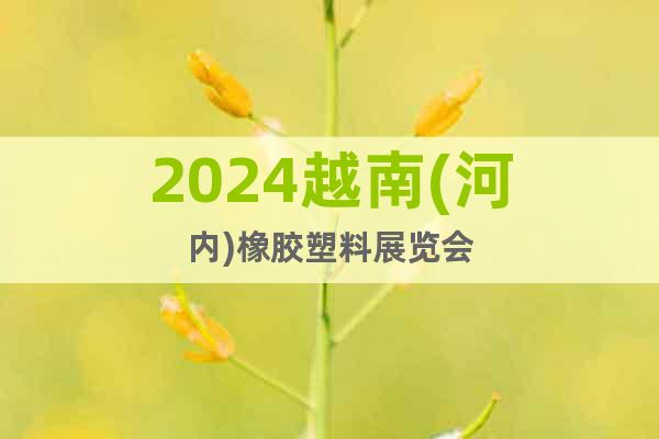 2024越南(河内)橡胶塑料展览会