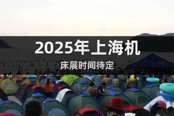 2025年上海机床展时间待定