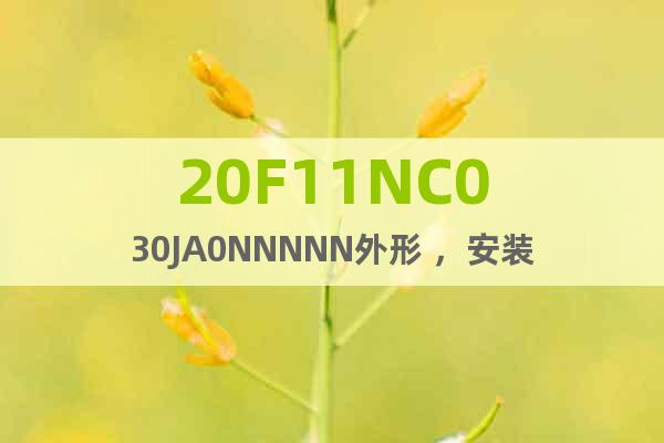 20F11NC030JA0NNNNN外形 ，安裝