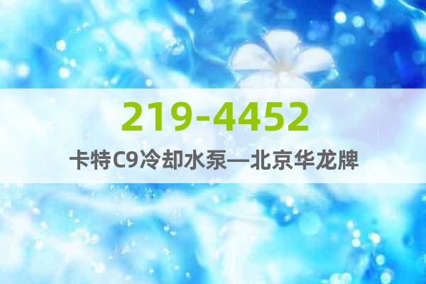 219-4452卡特C9冷却水泵—北京华龙牌
