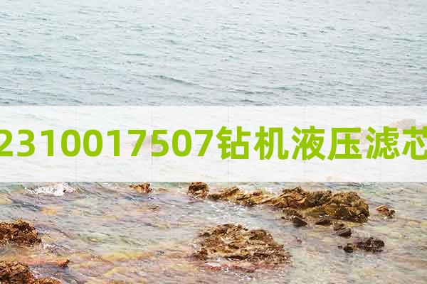 2310017507鉆機(jī)液壓濾芯