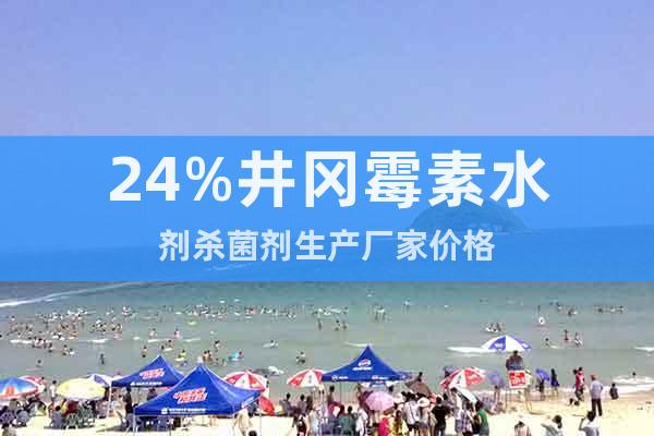 24%井岡霉素水劑殺菌劑生產(chǎn)廠家價(jià)格
