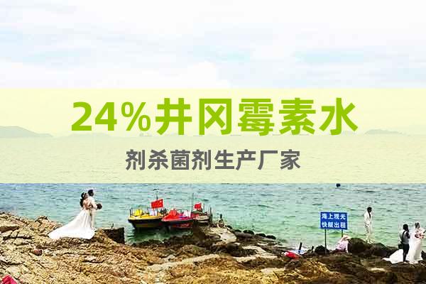 24%井岡霉素水劑殺菌劑生產(chǎn)廠家