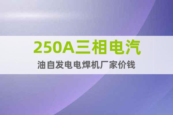 250A三相电汽油自发电电焊机厂家价钱