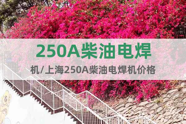 250A柴油電焊機/上海250A柴油電焊機價格