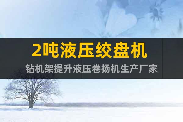 2噸液壓絞盤(pán)機(jī) 鉆機(jī)架提升液壓卷?yè)P(yáng)機(jī)生產(chǎn)廠家