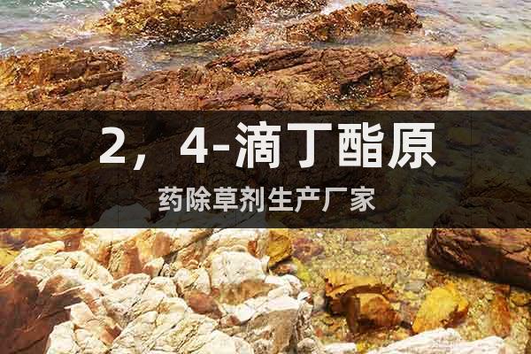 2，4-滴丁酯原藥除草劑生產(chǎn)廠家